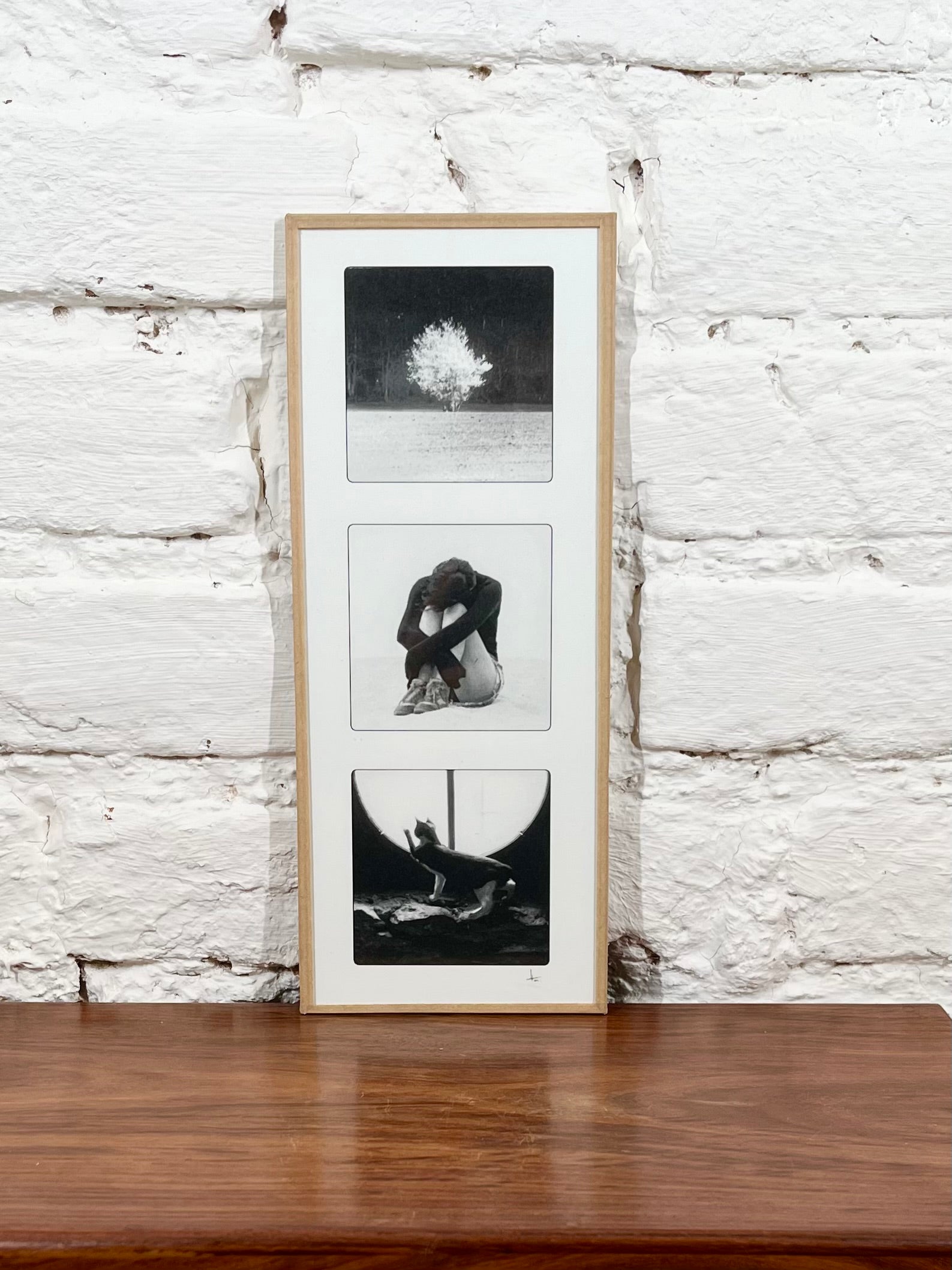 Cadre photo Mickaël Helleux N°55 (10x25 cm)