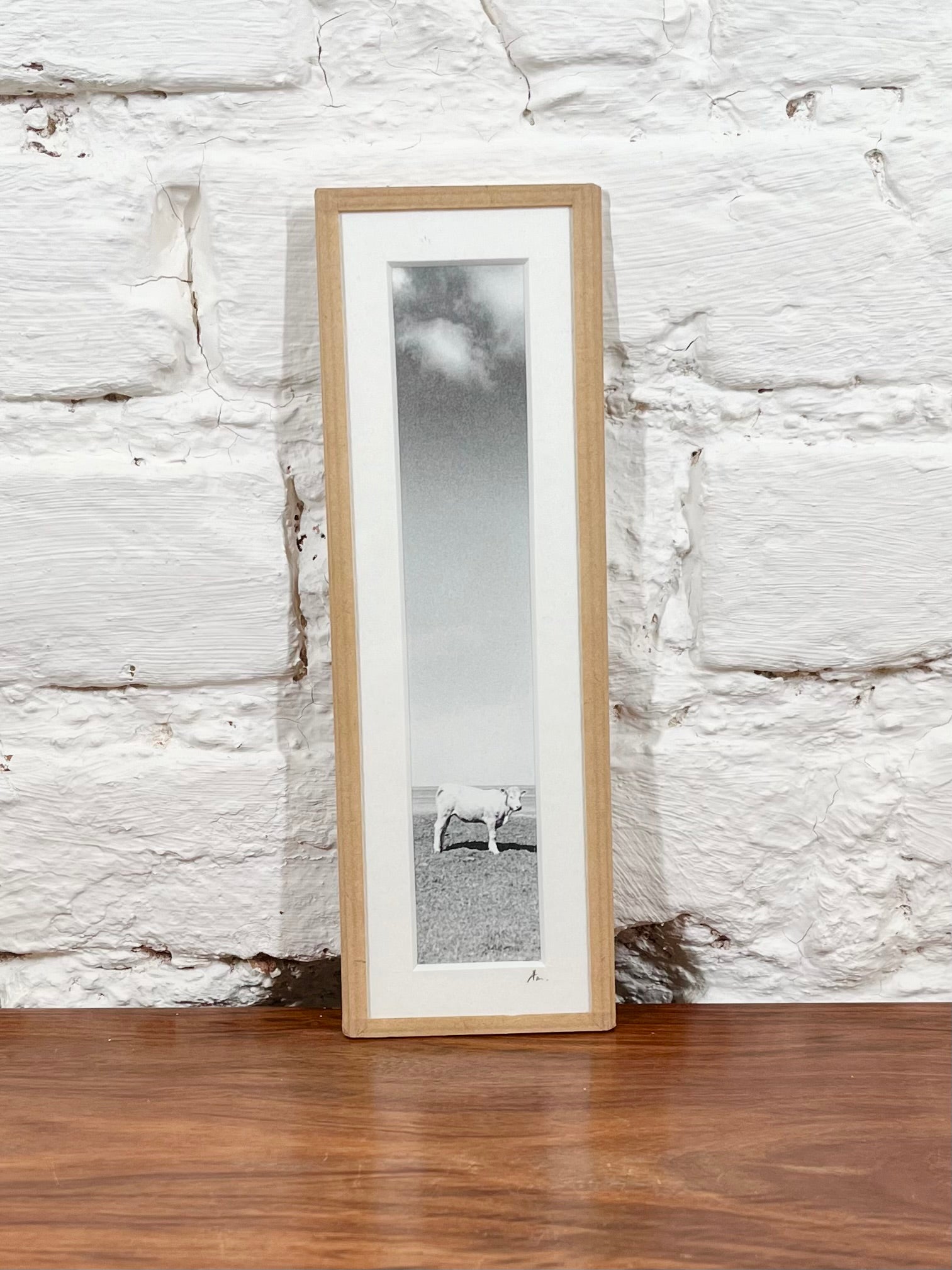 Cadre photo Mickaël Helleux N°23 (6,5x20 cm)