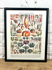 AFfiche Légumes (24x30 cm)