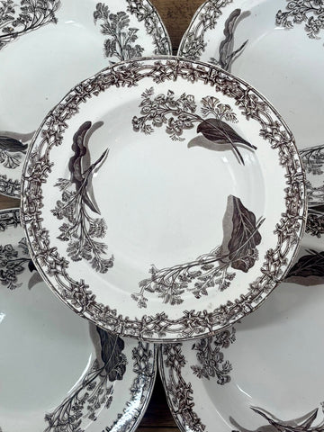 Assiette creuse Copeland and Garrett N°20
