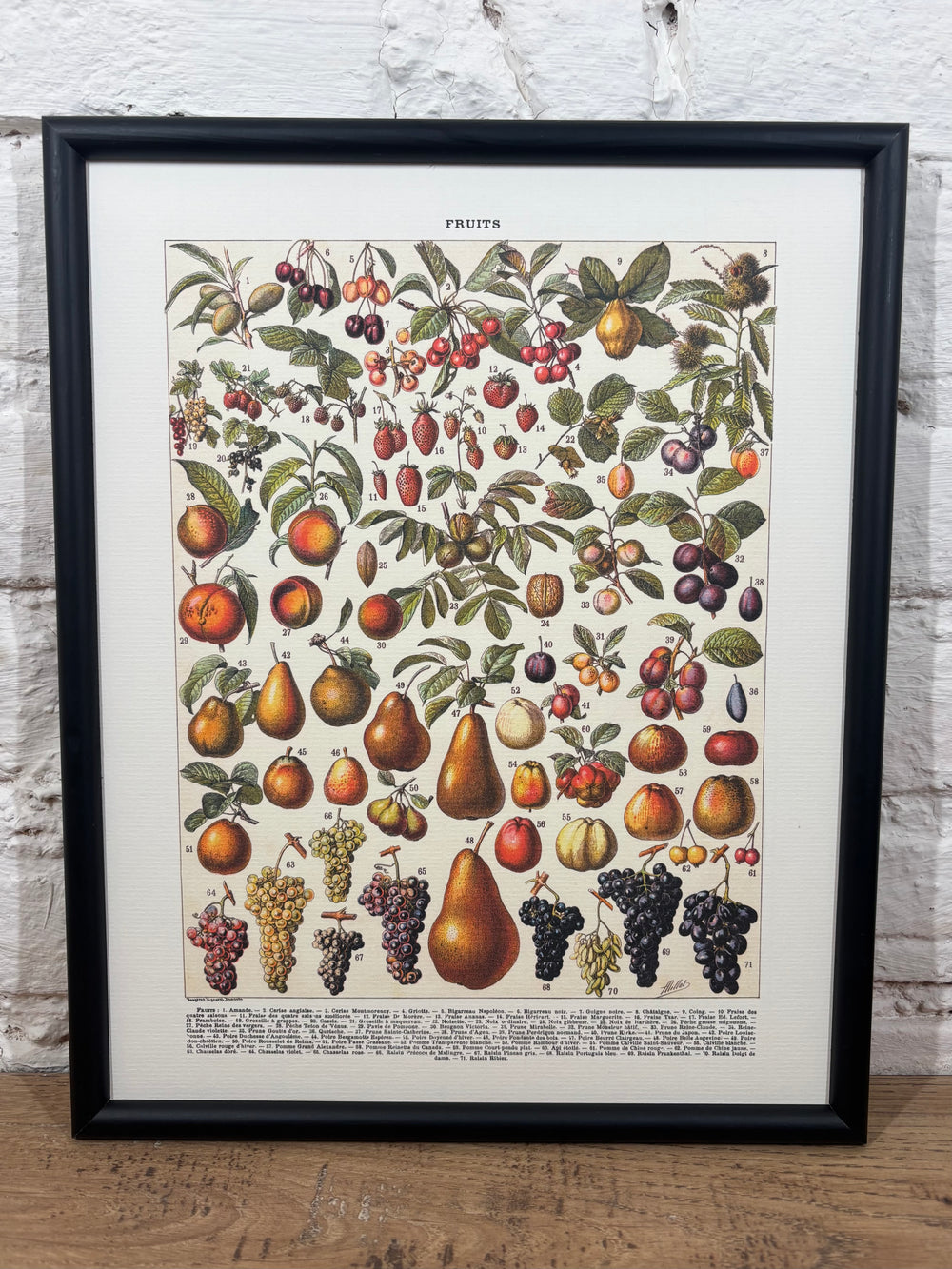 Affiche Fruits (24x30 cm)