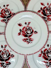 Assiette plate en faïence Digoin Sarreguemines N°19
