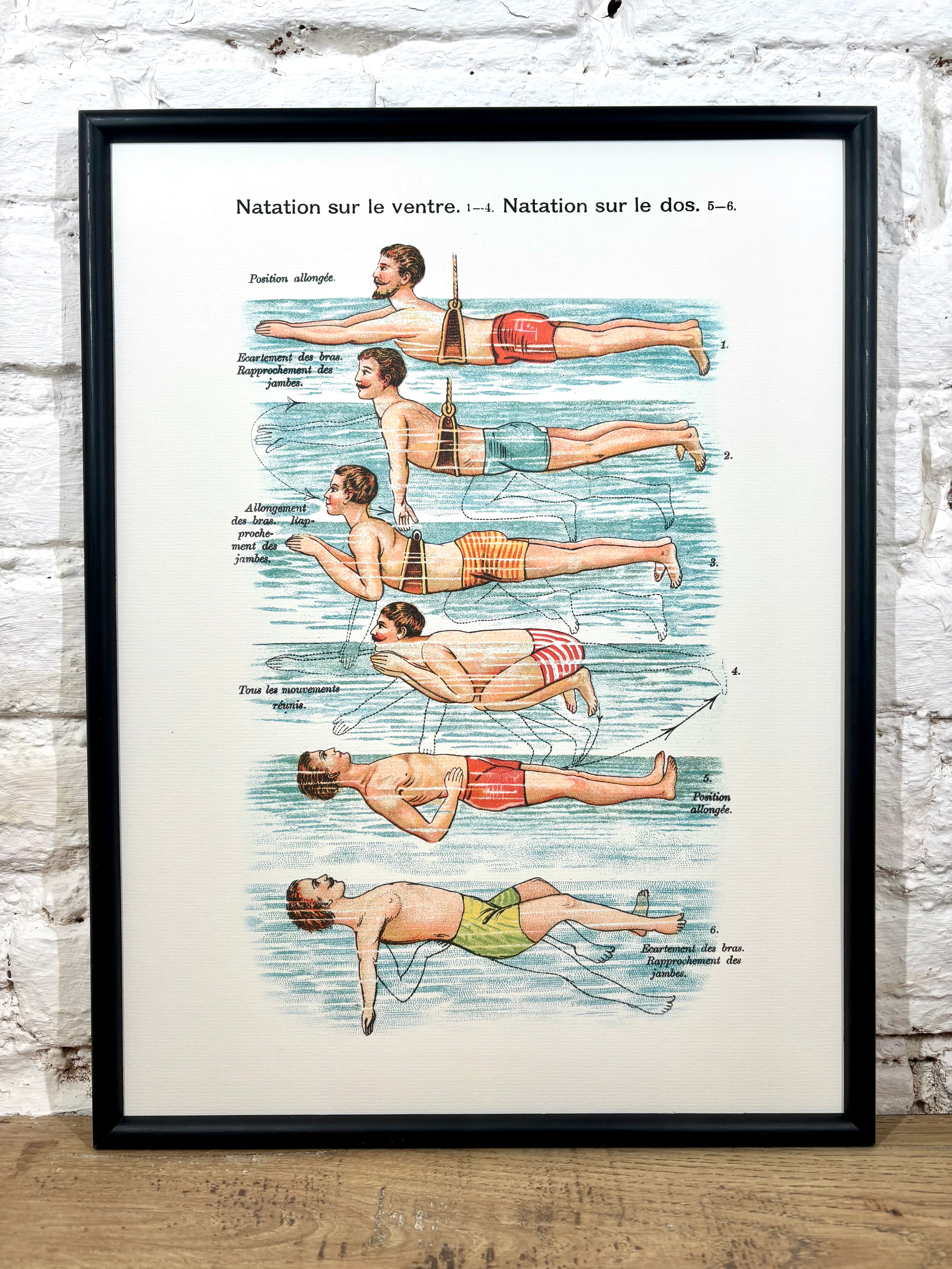 Affiche Natation (30x40 cm)