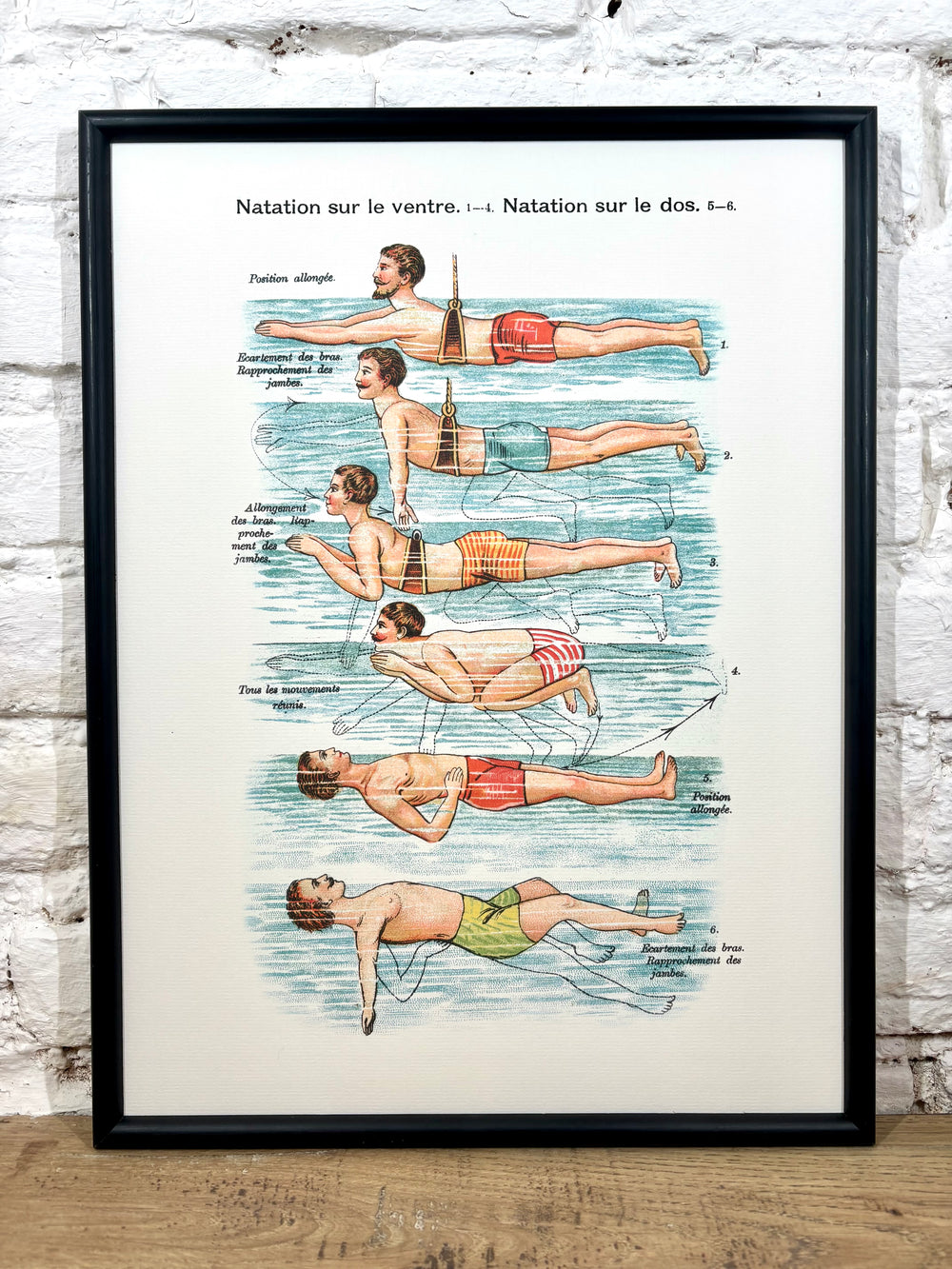 Affiche Natation (30x40 cm)