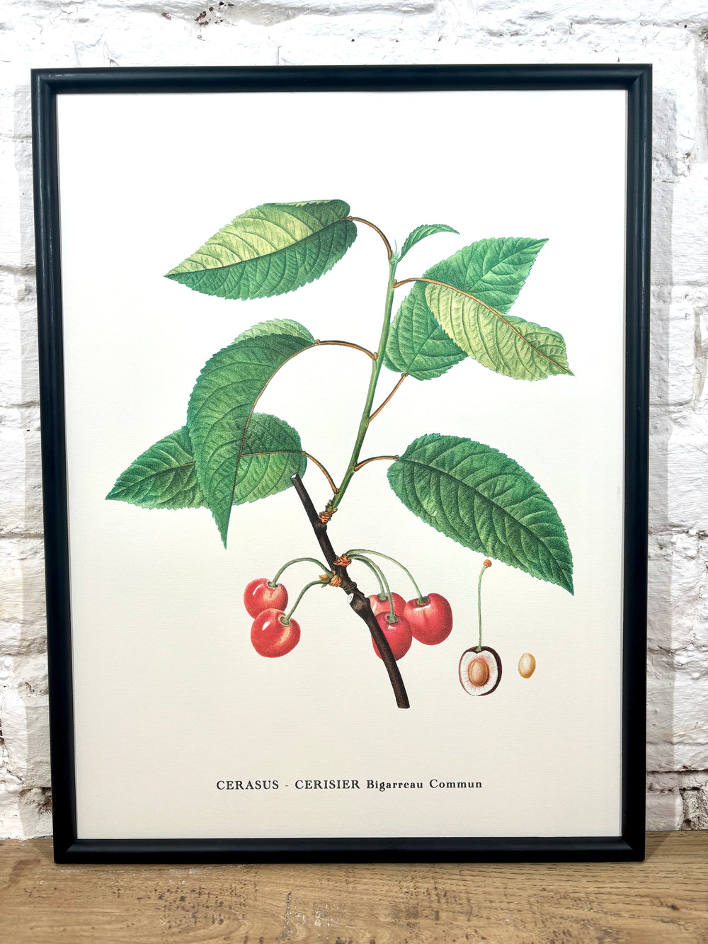 Affiche Cerisier (30x40 cm)
