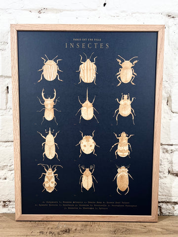 Affiche Pablo est une fille Insectes (30x40 cm)