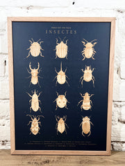 Affiche Pablo est une fille Insectes (30x40 cm)