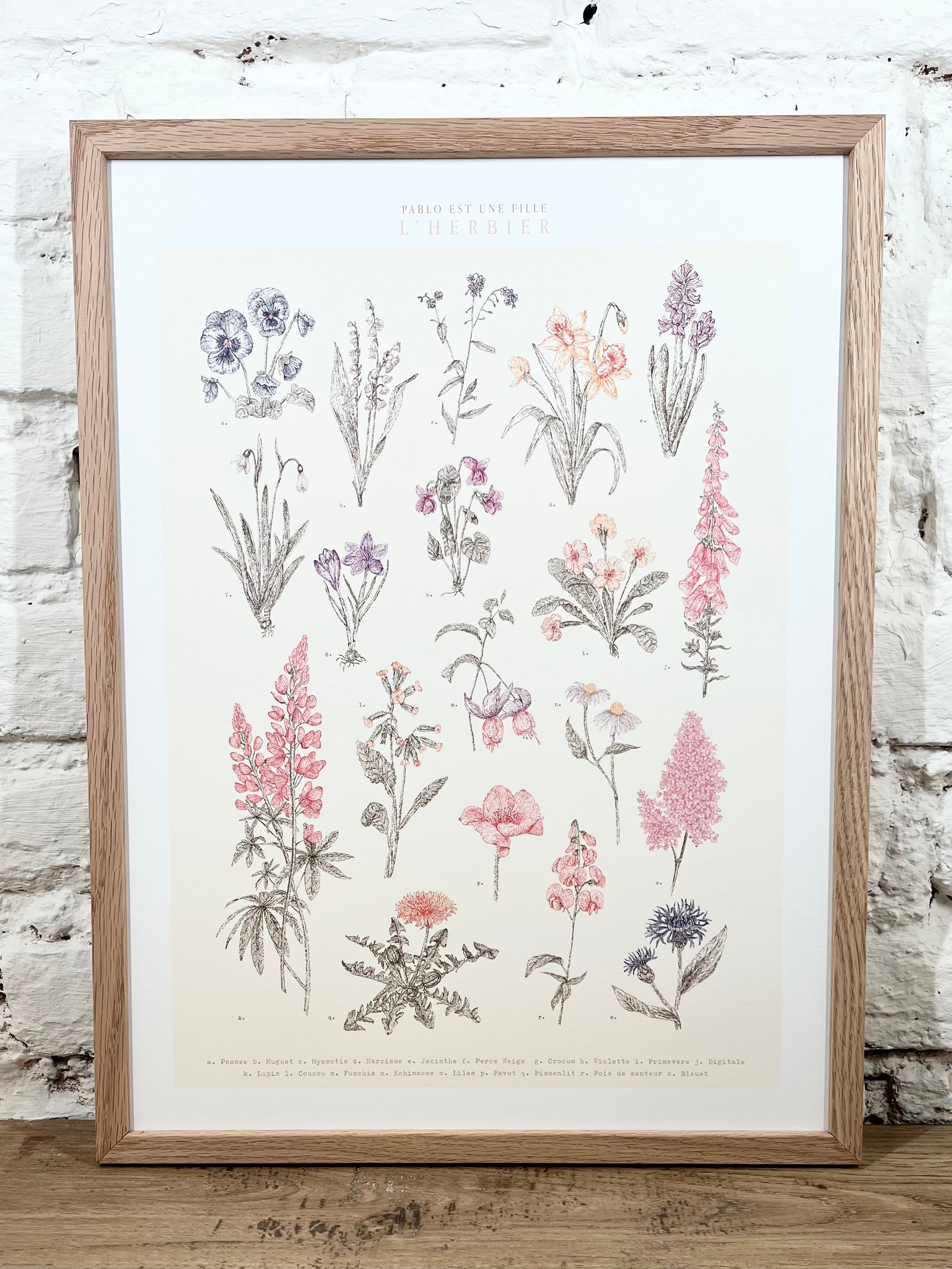 Affiche Pablo est une fille Herbier (30x40 cm)