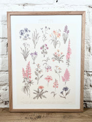 Affiche Pablo est une fille Herbier (30x40 cm)