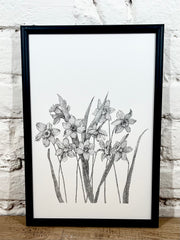 Affiche Pablo est une fille Narcisses (20x30 cm)