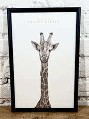 Affiche Pablo est une fille Grande girafe (20x30 cm)
