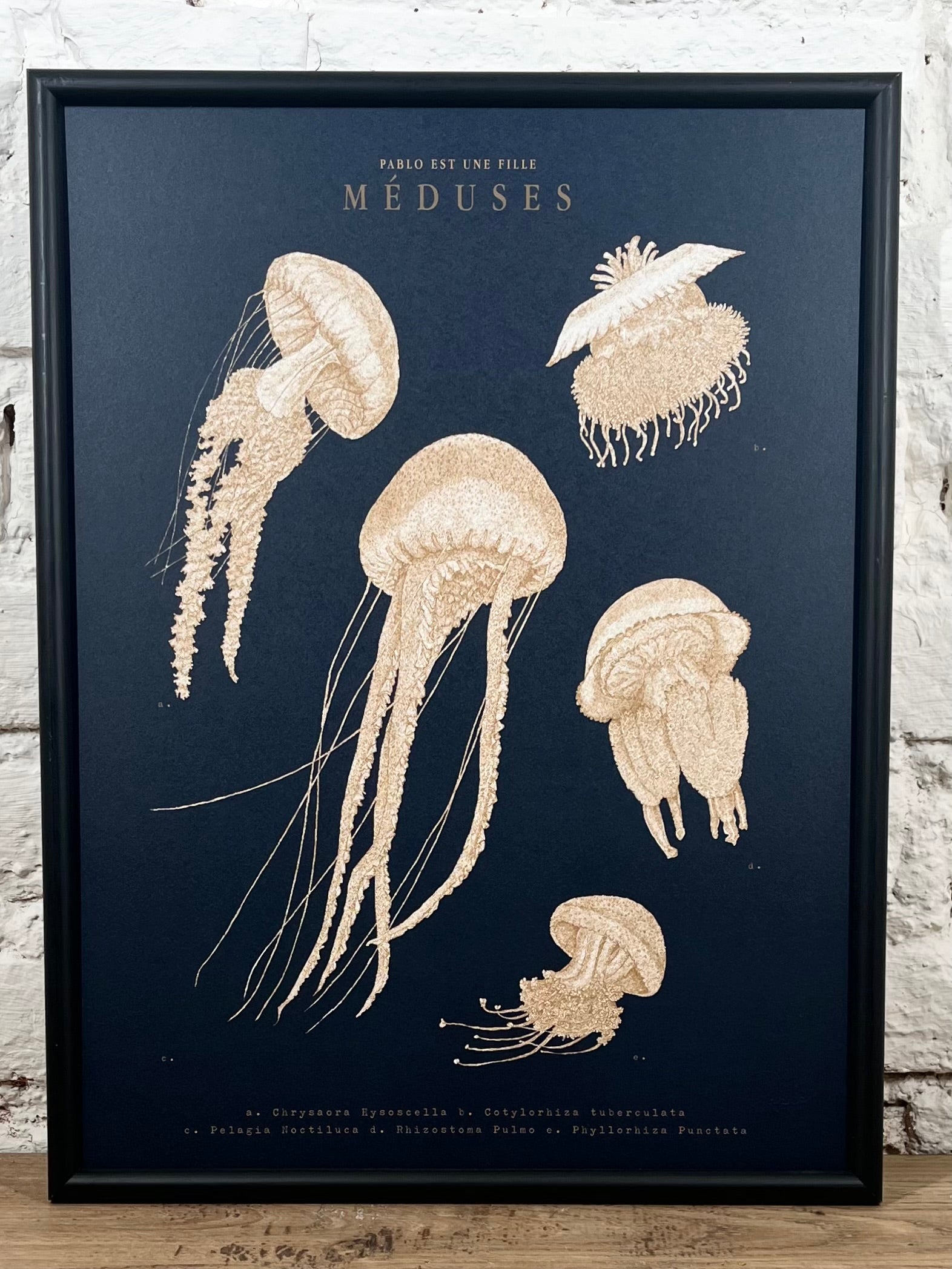 Affiche Pablo est une fille Méduses (30x40 cm)