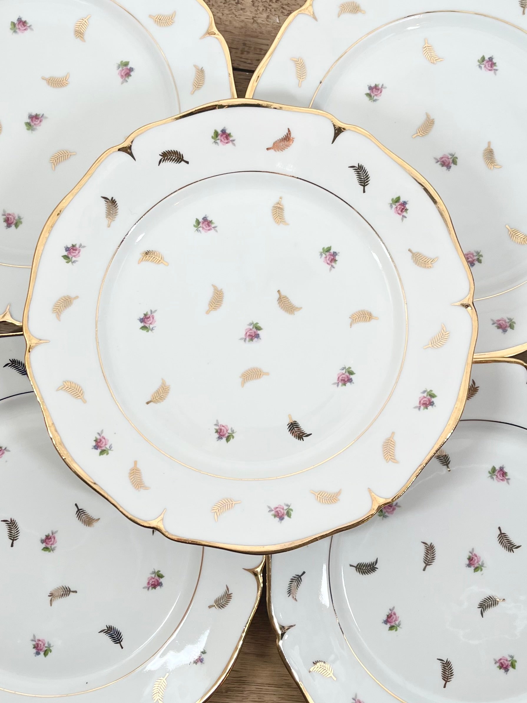 Assiette plate en porcelaine de Limoges N°1