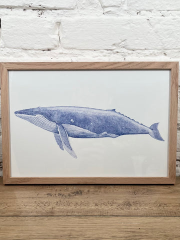Affiche Pablo est une fille Baleine bleue (20x30 cm)