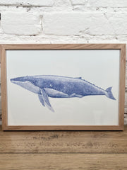 Affiche Pablo est une fille Baleine bleue (20x30 cm)