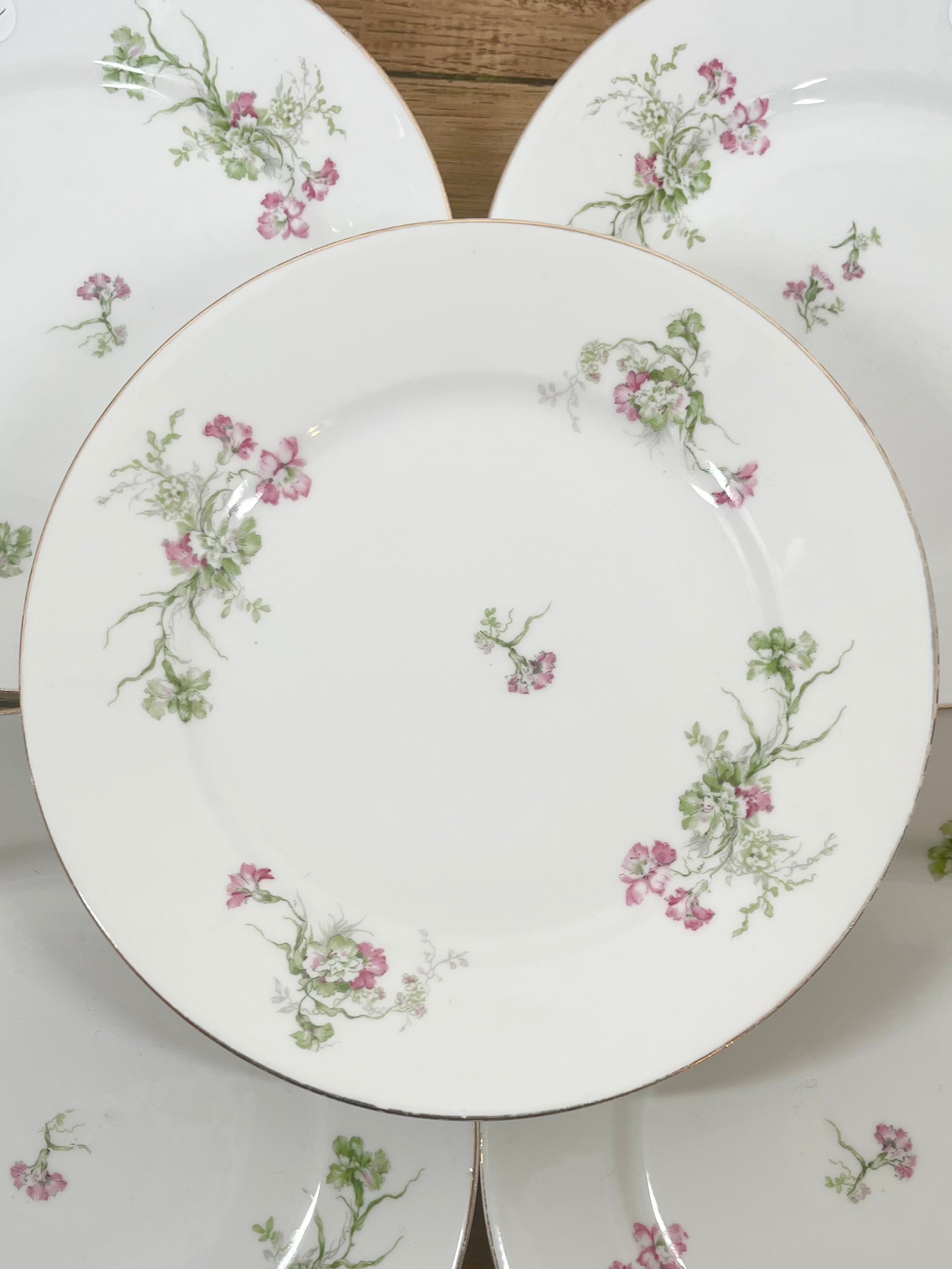 Assiette plate en porcelaine de Limoge N°4