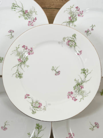Assiette plate en porcelaine de Limoge N°4