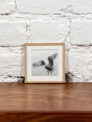 Cadre photo Mickaël Helleux N°12 (9x9 cm)