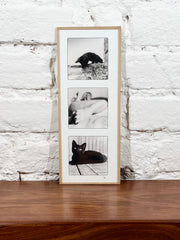 Cadre photo Mickaël Helleux N°47 (10x25 cm)