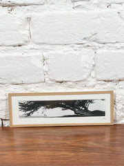 Cadre photo Mickaël Helleux N°39 (6,5x20 cm)