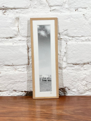 Cadre photo Mickaël Helleux N°23 (6,5x20 cm)