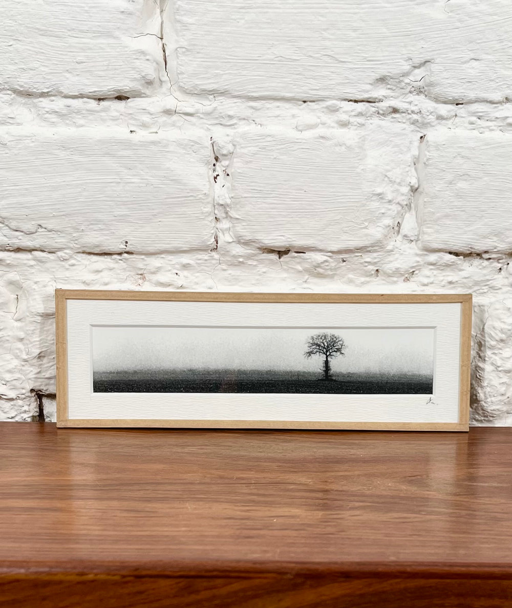 Cadre photo Mickaël Helleux N°36 (6,5x20 cm)