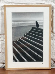 Cadre photo Mickaël Helleux N°106 (11x15 cm)