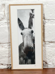 Cadre photo Mickaël Helleux N°66 (10x20 cm)