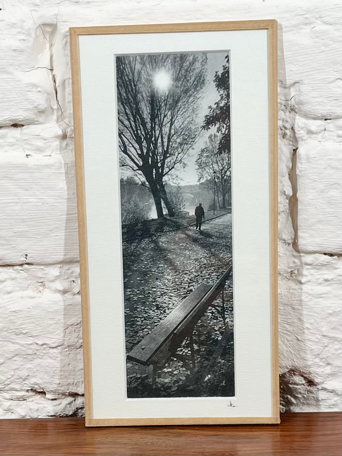 Cadre photo Mickaël Helleux N°63 (10x20 cm)