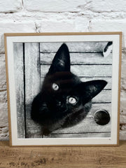 Cadre photo Mickaël Helleux N°84 (21x21 cm)