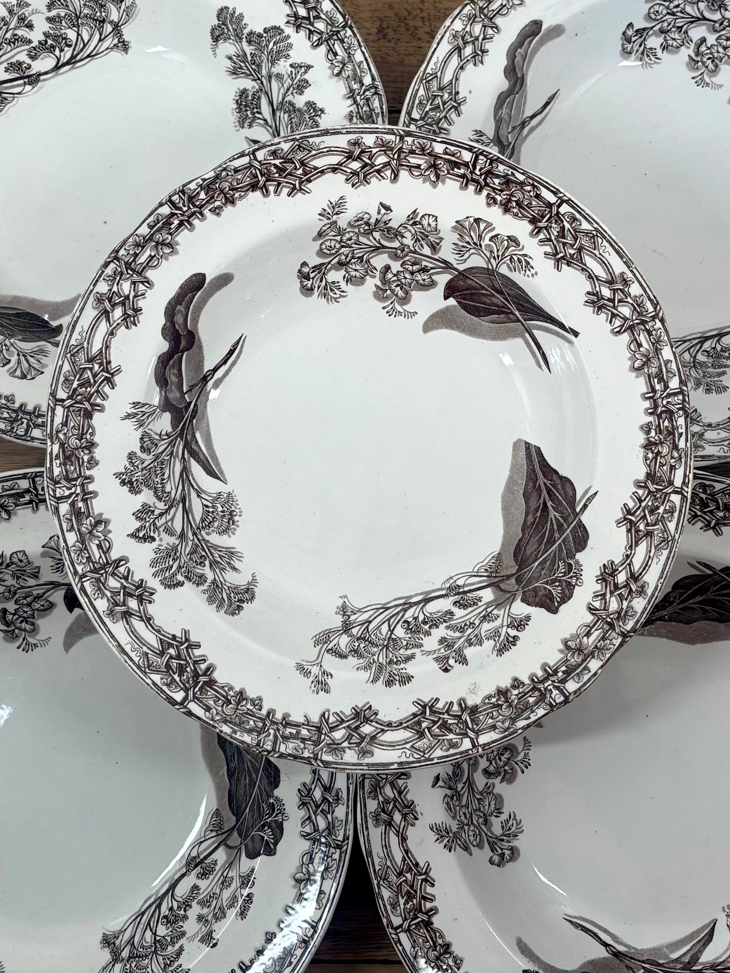 Superbe assiette collector du XIXeme siècle, de la manufacture anglaise Copeland and Garrett 